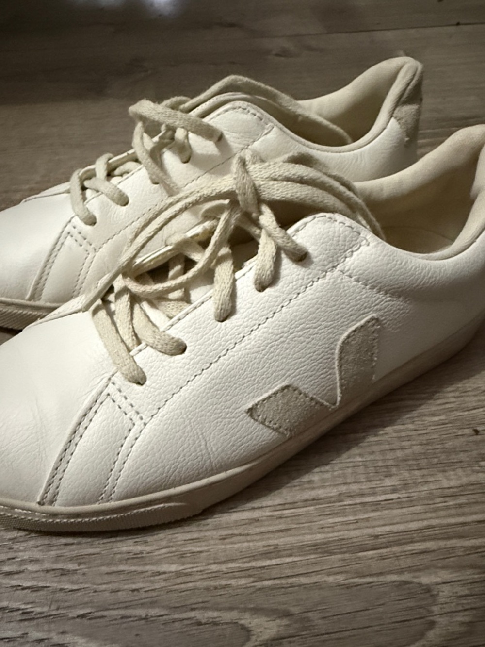 Veja Casual White Sneakers with Side Logo